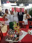 omek 2017 2